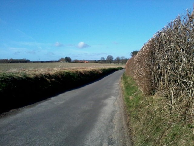 Treadmill free zone!